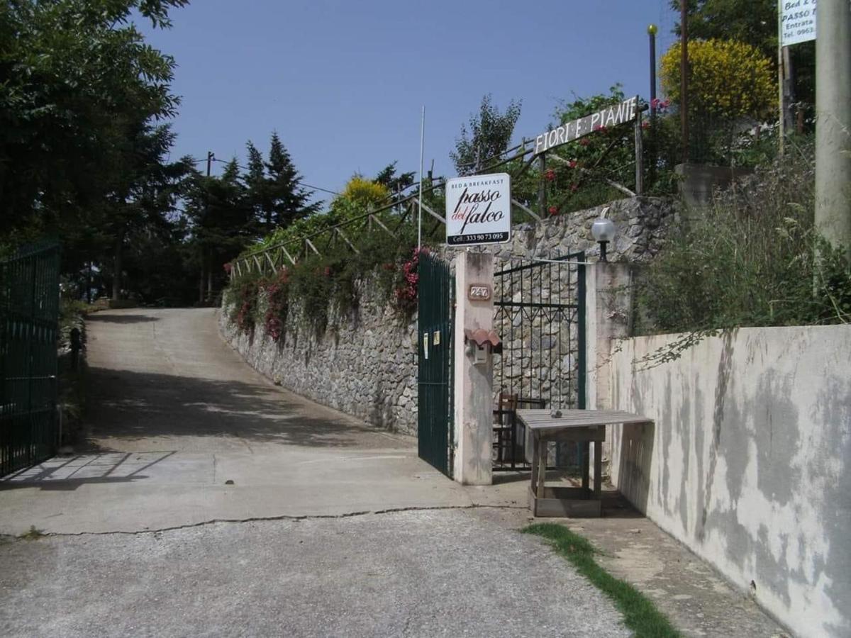 Sorianello B&B Passo Del Falco מראה חיצוני תמונה