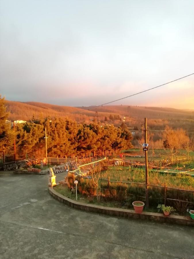 Sorianello B&B Passo Del Falco מראה חיצוני תמונה
