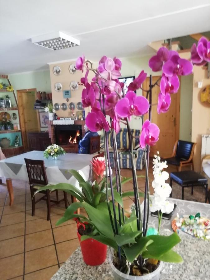 Sorianello B&B Passo Del Falco מראה חיצוני תמונה