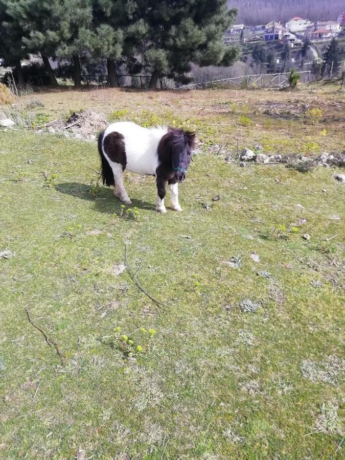 Sorianello B&B Passo Del Falco מראה חיצוני תמונה