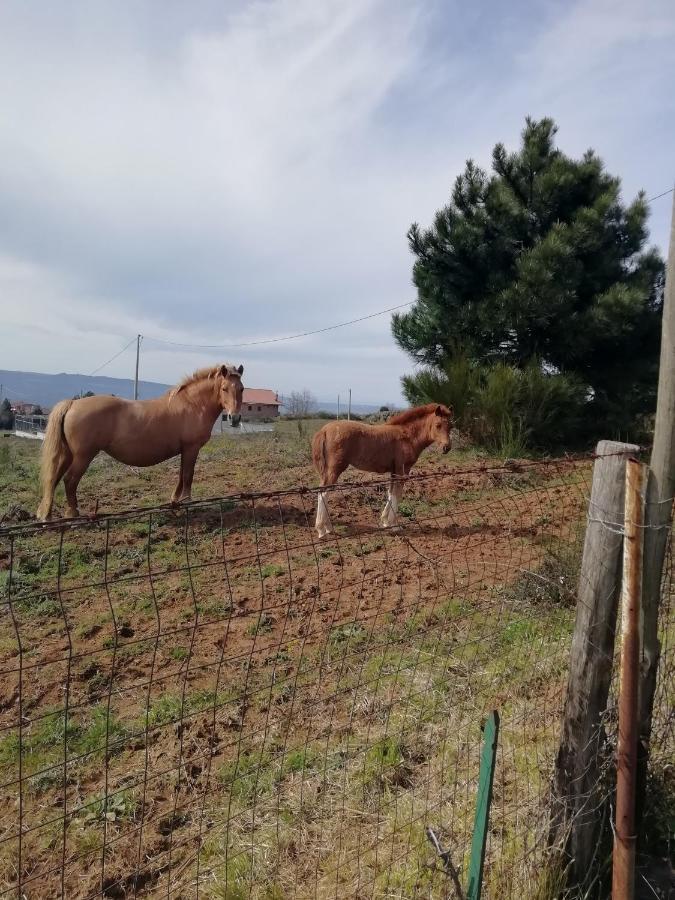Sorianello B&B Passo Del Falco מראה חיצוני תמונה